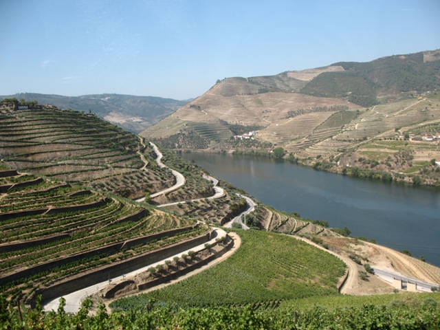 Виноградники на реке Дору