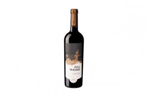Португальское красное вино - победитель Мондиаль де Брюссель 2012