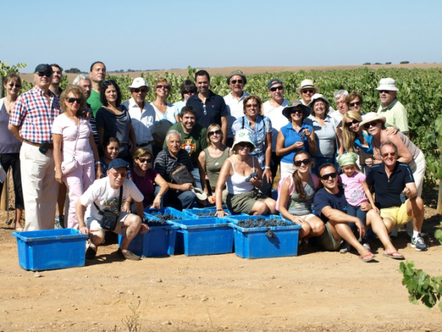 Группа, ездившая на сбор урожая на виноградниках в Алентежу, Португалия