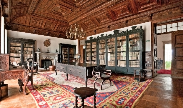 Библиотека дворца, Португалия, Монсау, Виньюш Вердеш